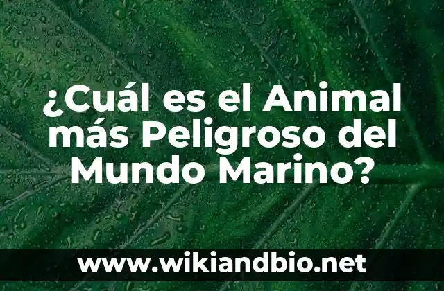 Los Candidatos al Título de Animal más Peligroso del Mundo Marino