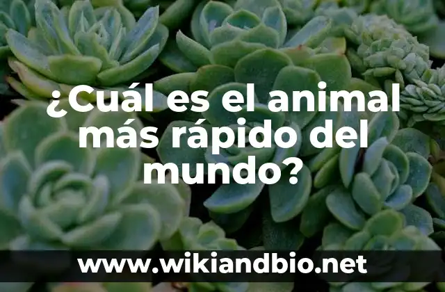 Los 5 animales más rápidos de la tierra
