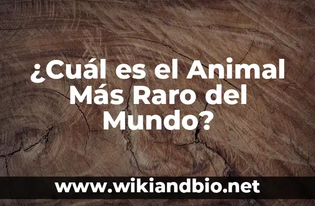 ¿Cuál es el Animal Más Raro del Mundo?