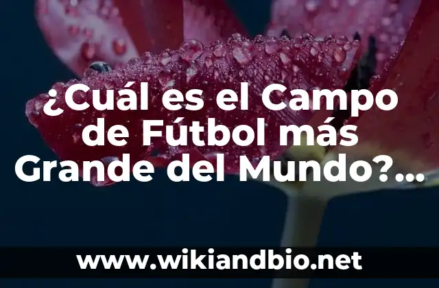 ¿Cuál es el Campo de Fútbol más Grande del Mundo? – Descubre el Estadio más Impresionante