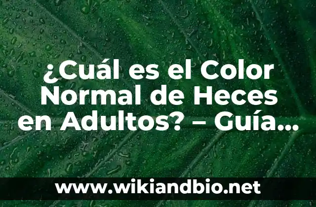 ¿Qué es un Color Normal de Heces en Adultos?