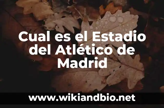 Cual es el Estadio del Atlético de Madrid