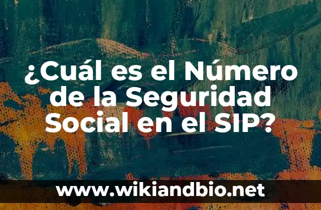 ¿Cuál es el Número de la Seguridad Social en el SIP?