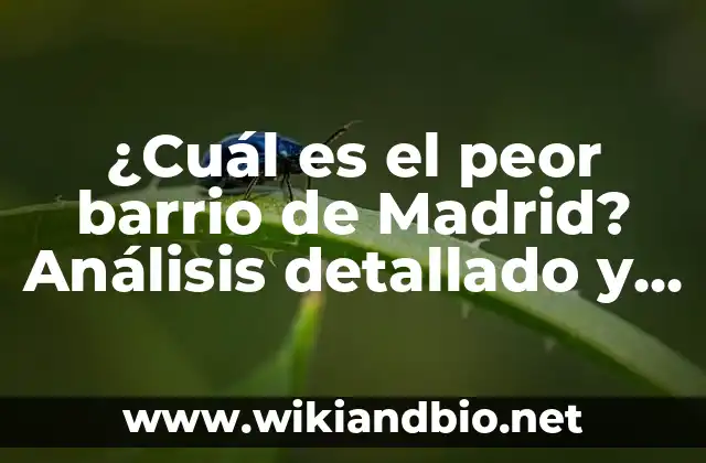 ¿Cuál es el peor barrio de Madrid? Análisis detallado y actualizado