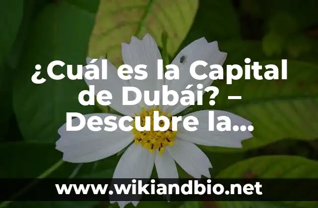 ¿Cuál es la Capital de Dubái? – Descubre la Respuesta
