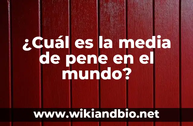 ¿Cuál es la media de pene en el mundo?