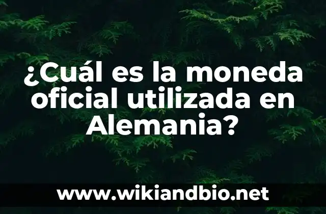 ¿Cuál es la moneda oficial utilizada en Alemania?