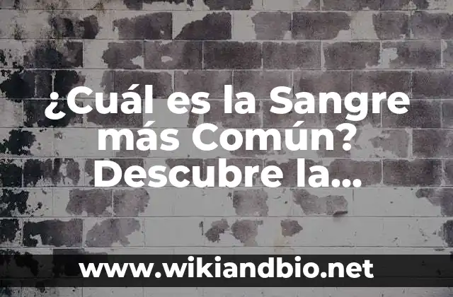 ¿Cuál es la Sangre más Común? Descubre la Respuesta