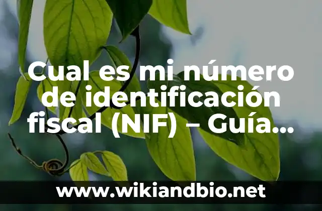 ¿Qué es el número de identificación fiscal (NIF)?