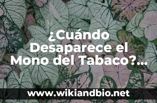 ¿Cuándo Desaparece el Mono del Tabaco? Guía Completa sobre la Cese de la Adicción al Tabaco