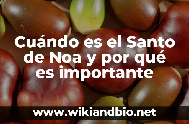 Cuándo es el Santo de Noa y por qué es importante