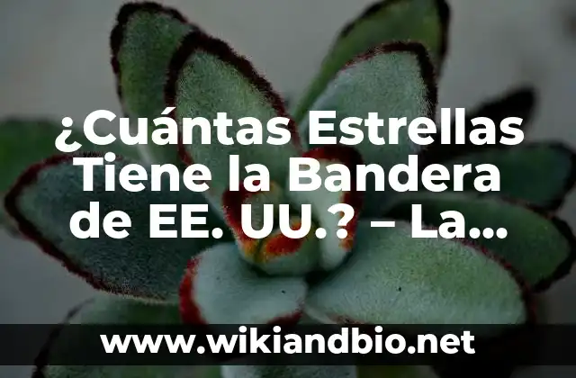 ¿Cuántas Estrellas Tiene la Bandera de EE. UU.? – La Historia y el Significado Detrás de la Bandera Estadounidense