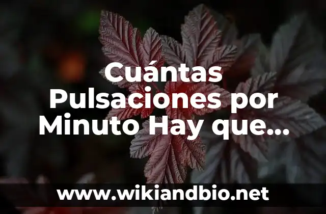 Cuántas Pulsaciones por Minuto Hay que Tener para Mantener una Buena Salud