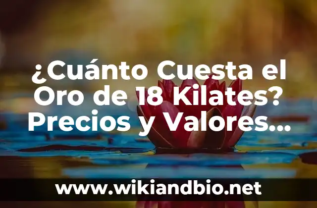 ¿Cuánto Cuesta el Oro de 18 Kilates? Precios y Valores Actuales