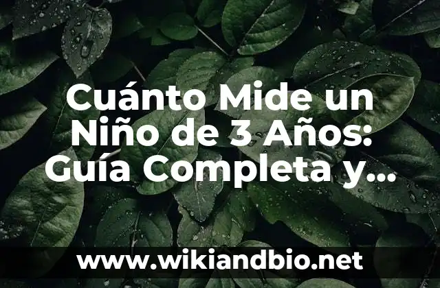 Cuánto Mide un Niño de 3 Años: Guía Completa y Actualizada