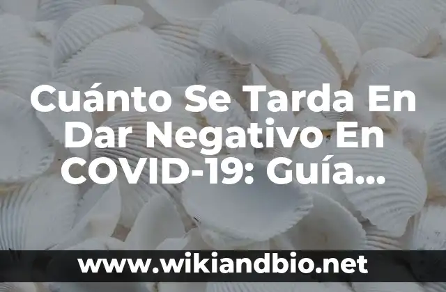Cuánto Se Tarda En Dar Negativo En COVID-19: Guía Completa