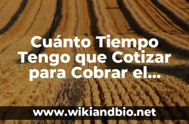 Cuánto Tiempo Tengo que Cotizar para Cobrar el Paro: Guía Completa