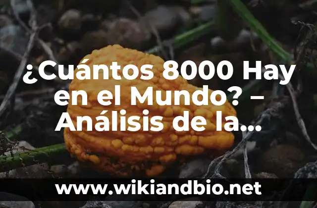 ¿Cuántos 8000 Hay en el Mundo? – Análisis de la Población de Montañas de 8000 metros