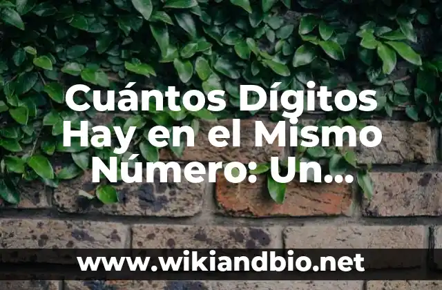 Definición y Ejemplos de Números con Dígitos Repetidos