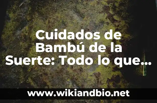 Cuidados de Bambú de la Suerte: Todo lo que Necesitas Saber