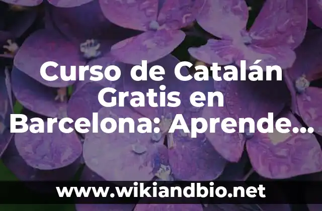 Curso de Catalán Gratis en Barcelona: Aprende el Idioma Oficial de Cataluña