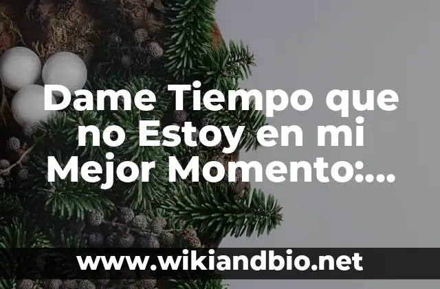 Dame Tiempo que no Estoy en mi Mejor Momento: Cómo Superar la Ansiedad y el Estrés