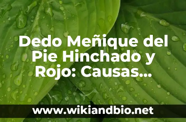 Dedo Meñique del Pie Hinchado y Rojo: Causas, Síntomas y Tratamientos