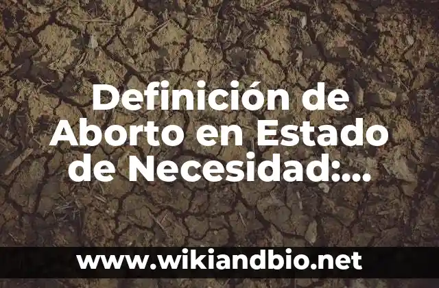 Definición de Aborto en Estado de Necesidad: según Autor, Ejemplos, qué es, Concepto y Significado