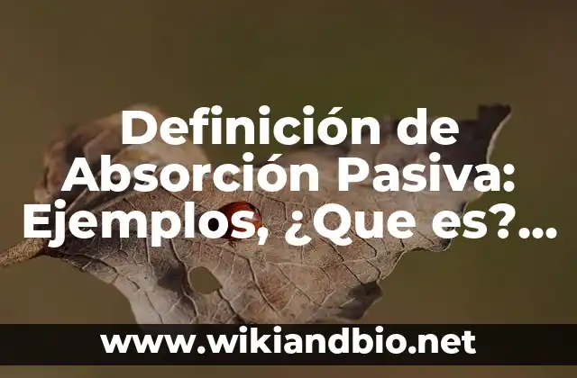 Definición de Absorción Pasiva: Ejemplos, ¿Que es? y para que sirve