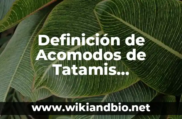 Ejemplos de Acomodos de Tatamis Arquitectura