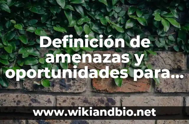 Definición de amenazas y oportunidades para algo nuevo: según Autor, Ejemplos, qué es, Concepto y Significado