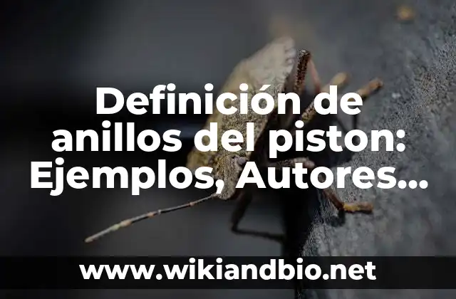 Definición de anillos del piston: Ejemplos, Autores y Concepto