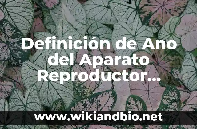 Definición de Ano del Aparato Reproductor Masculino: Ejemplos, Que es, Autores
