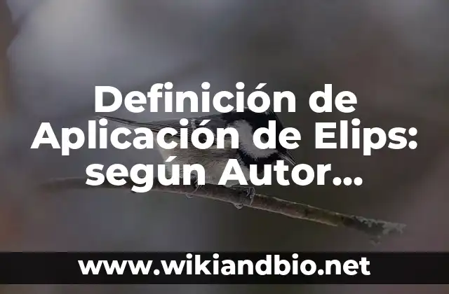 Definición de Aplicación de Elips: según Autor, Ejemplos, qué es, Concepto y Significado