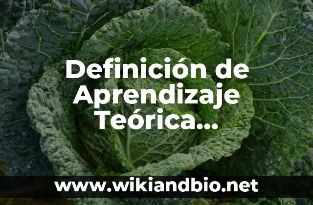 Definición de Aprendizaje Teórica Conductual: Ejemplos, Que es, Autores