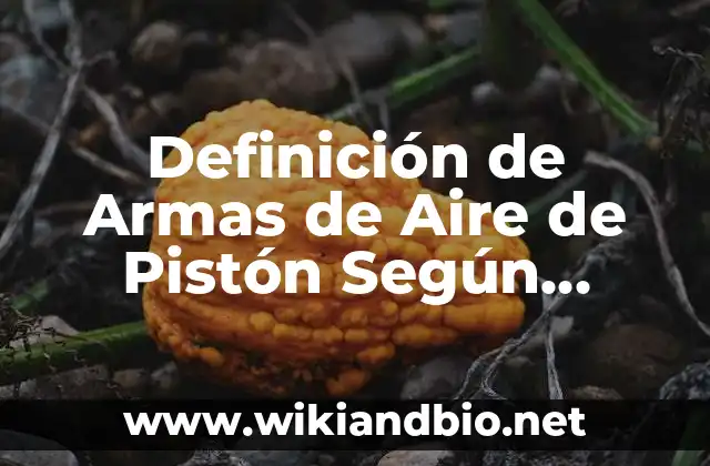 Definición de Armas de Aire de Pistón Según autores, Ejemplos y Concepto