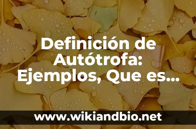 Definición de acordaos: Ejemplos, Que es, Autores 5 Definición de Autótrofa: Ejemplos, Que es, Autores
