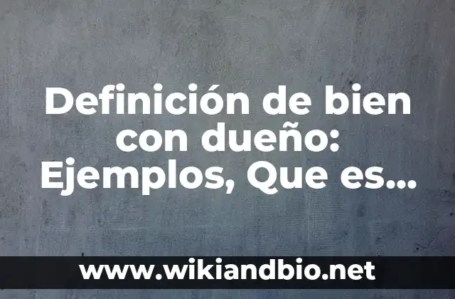 Definición de bien con dueño: Ejemplos, Que es, Autores
