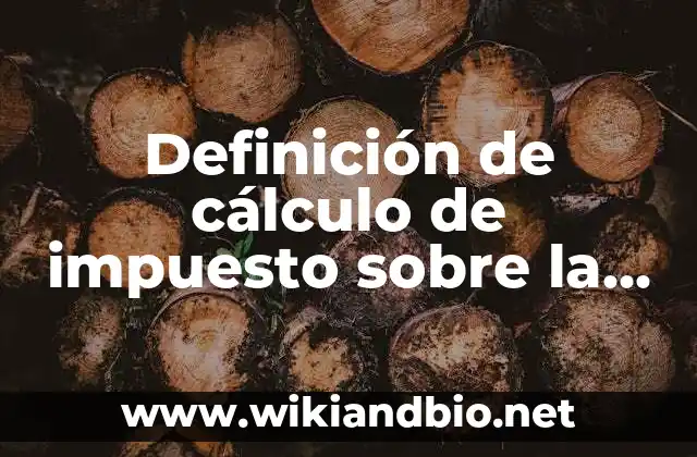 Definición de cálculo de impuesto sobre la renta en Panamá.: según Autor, Ejemplos, qué es, Concepto y Significado