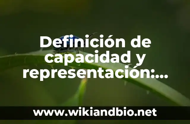 Ejemplos de capacidad y representación