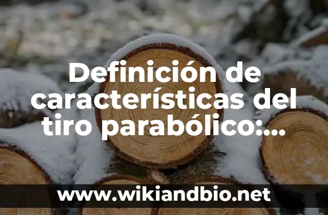 Definición de características del tiro parabólico: según Autor, Ejemplos, qué es, Concepto y Significado