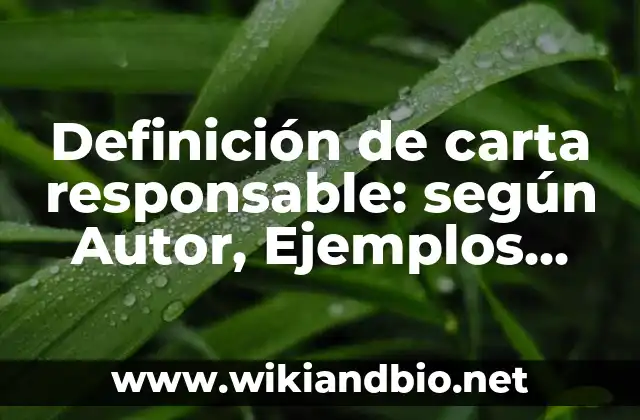 Definición de carta responsable: según Autor, Ejemplos, qué es, Concepto y Significado