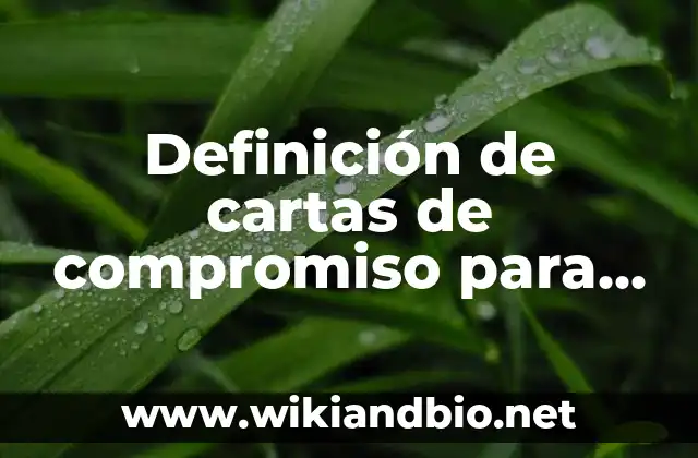 Definición de cartas de compromiso para prescolar: según Autor, Ejemplos, qué es, Concepto y Significado