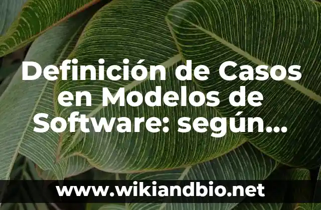 Definición de Casos en Modelos de Software: según Autor, Ejemplos, qué es, Concepto y Significado