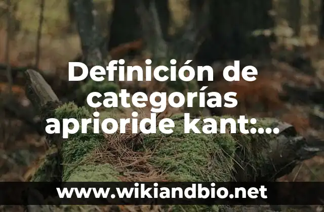 Definición de categorías aprioride kant: según Autor, Ejemplos, qué es, Concepto y Significado