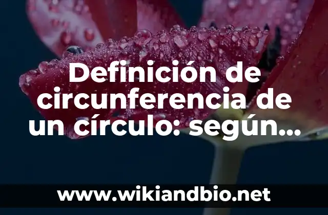 Definición de circunferencia de un círculo: según Autor, Ejemplos, qué es, Concepto y Significado