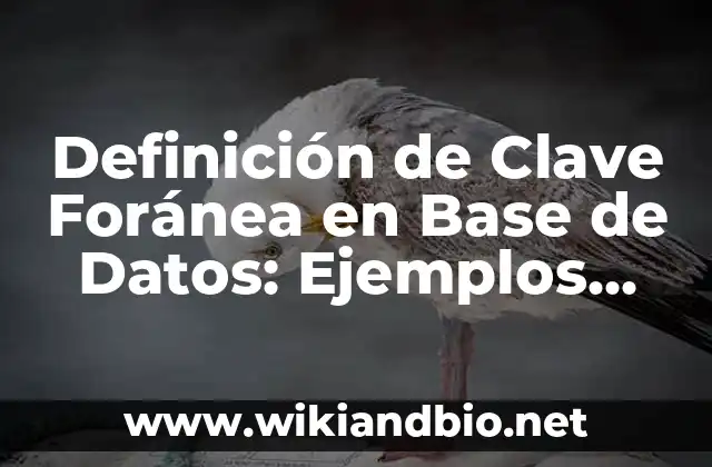 Definición de proposición en lógica proposicional: Significado, Ejemplos y Autores 7 Definición de Clave Foránea en Base de Datos: Ejemplos, Que es, Autores