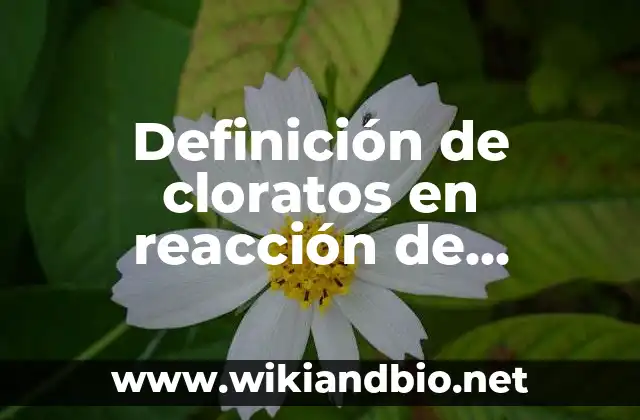 Definición de cloratos en reacción de descomposición: según Autor, Ejemplos, qué es, Concepto y Significado