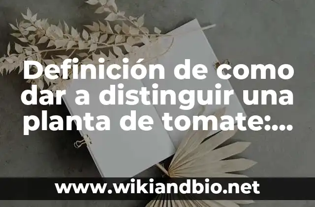 Ejemplos de como dar a distinguir una planta de tomate