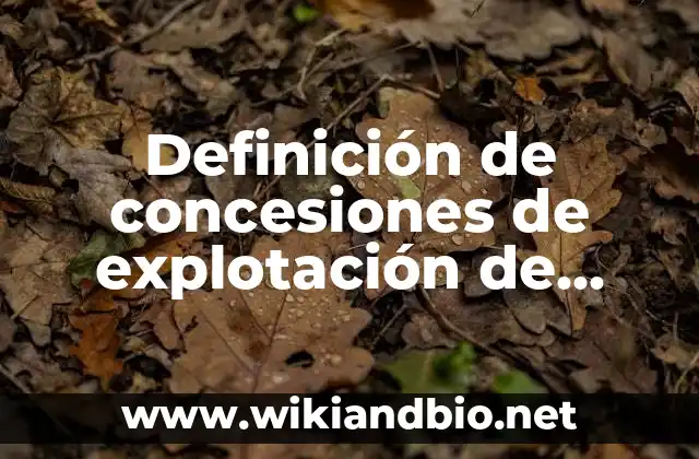 Definición de concesiones de explotación de recursos naturales: según Autor, Ejemplos, qué es, Concepto y Significado